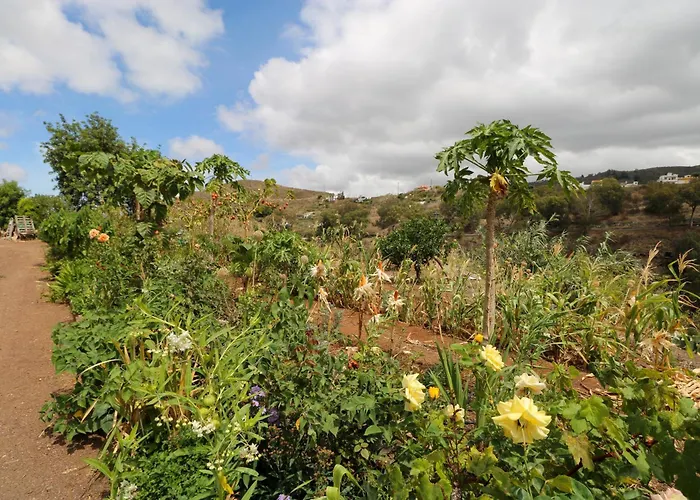 Countryside Views House Teror